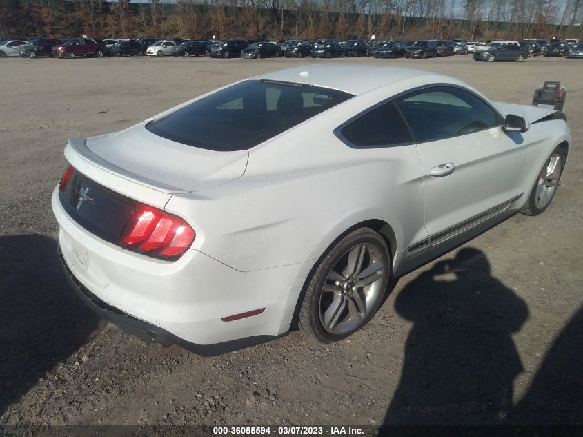 2019 FORD MUSTANG ECOBOOST - 1FA6P8TH8K5198814