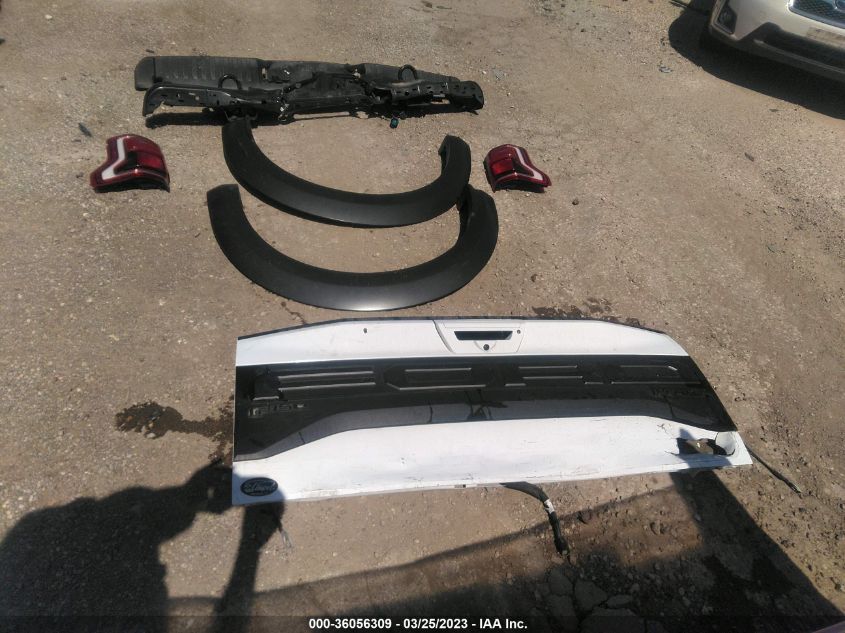 2020 FORD F-150 RAPTOR - 1FTFW1RG0LFC66165