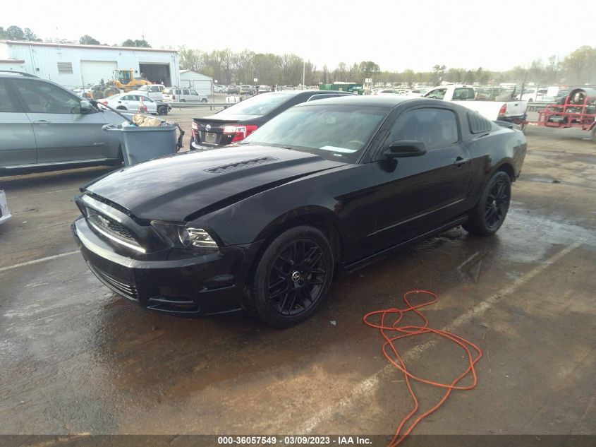 2014 FORD MUSTANG V6 - 1ZVBP8AM3E5293436