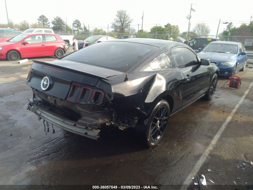 2014 FORD MUSTANG V6 - 1ZVBP8AM3E5293436