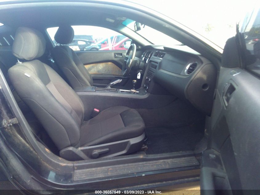 2014 FORD MUSTANG V6 - 1ZVBP8AM3E5293436