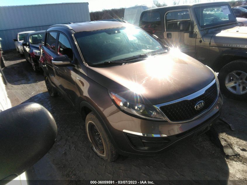 2014 KIA SPORTAGE LX - KNDPBCAC8E7588957