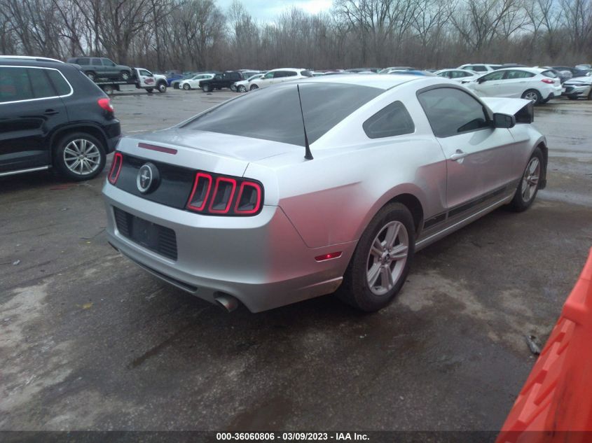 2014 FORD MUSTANG V6 - 1ZVBP8AM8E5252428