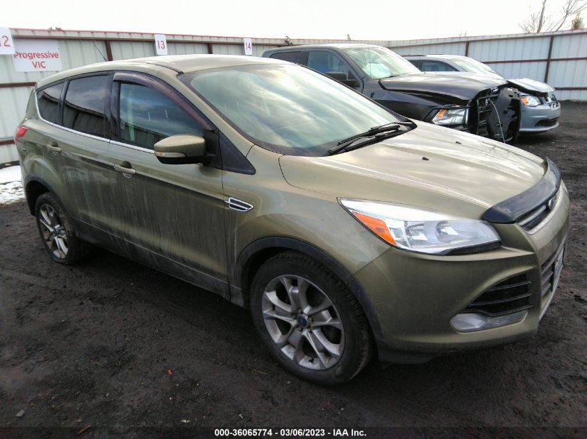 2013 FORD ESCAPE SEL - 1FMCU9H91DUA07624