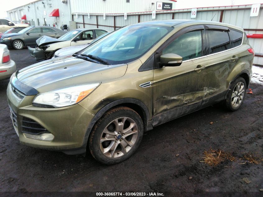 2013 FORD ESCAPE SEL - 1FMCU9H91DUA07624