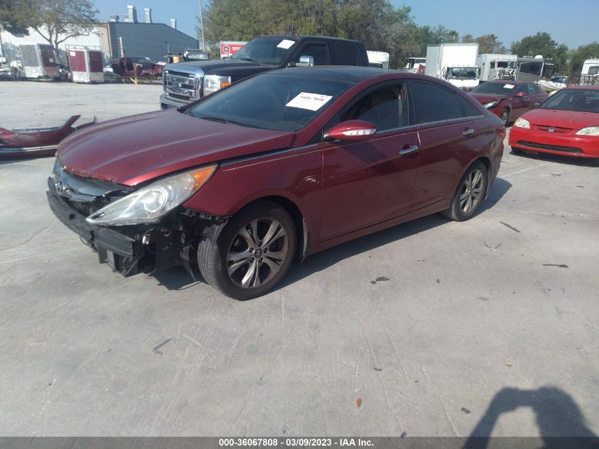 2013 HYUNDAI SONATA LIMITED - 5NPEC4AC7DH578876