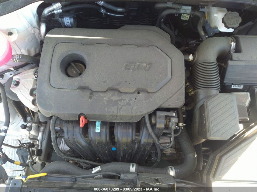 2022 KIA SPORTAGE EX - KNDPN3AC8N7003060
