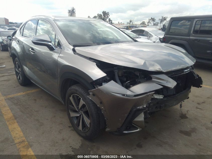 2019 LEXUS NX NX 300 - JTJYARBZ8K2130015