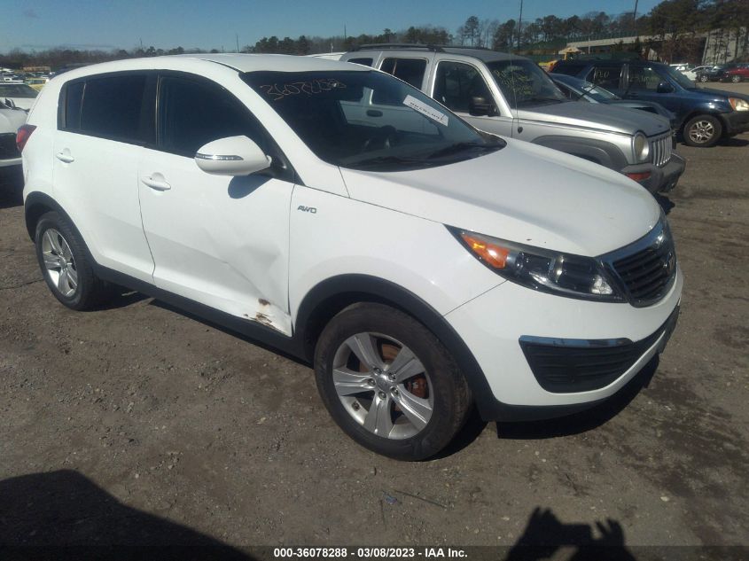2013 KIA SPORTAGE LX - KNDPBCA27D7517481