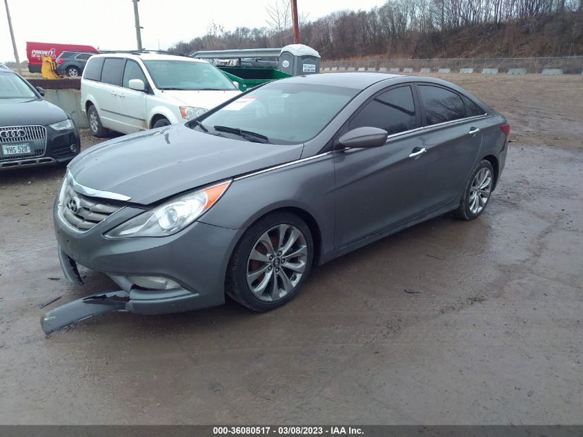 2013 HYUNDAI SONATA GLS/SE/LIMITED - 5NPEC4AC4DH512687