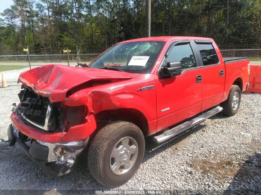 2013 FORD F-150 XL/XLT/FX2/LARIAT - 1FTFW1CTXDFB61012