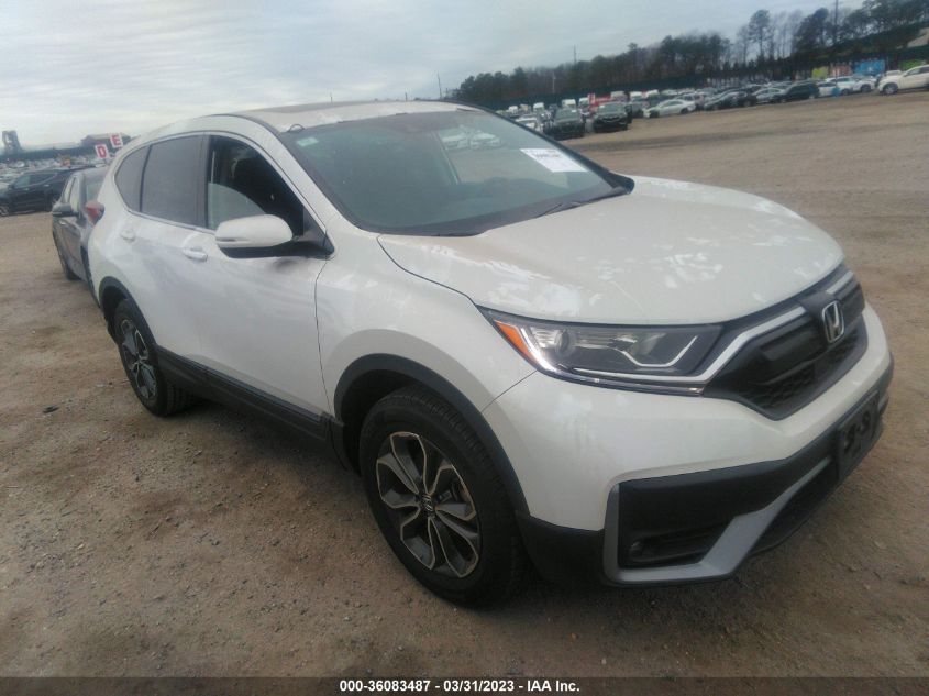 2020 HONDA CR-V EX - 5J6RW2H53LL041348