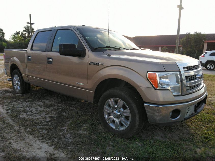 2013 FORD F-150 XL/XLT/FX2/LARIAT - 1FTFW1CT0DKE69863