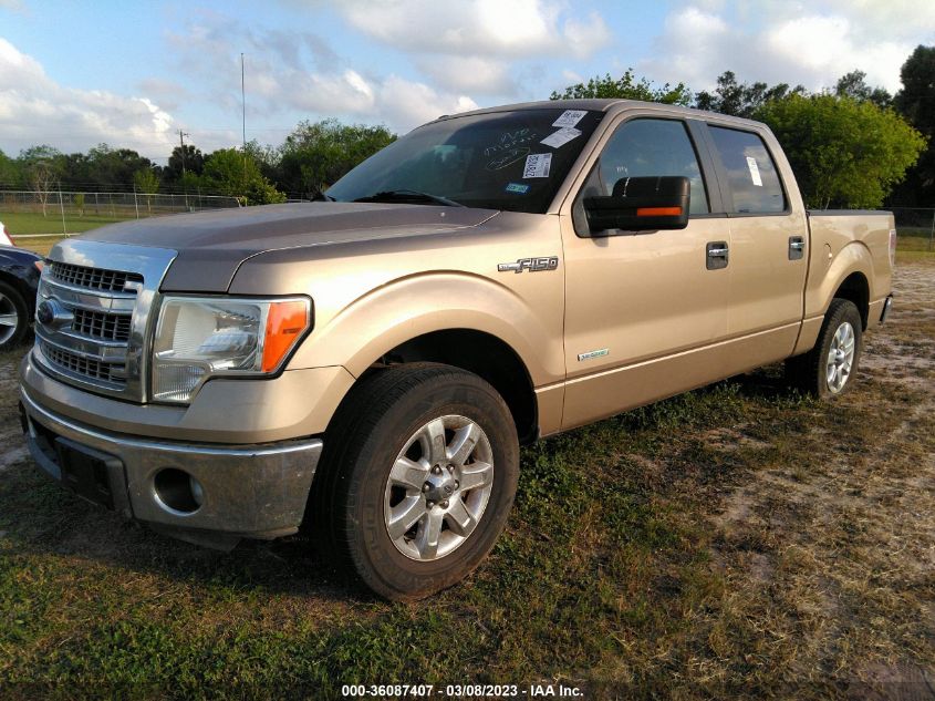 2013 FORD F-150 XL/XLT/FX2/LARIAT - 1FTFW1CT0DKE69863