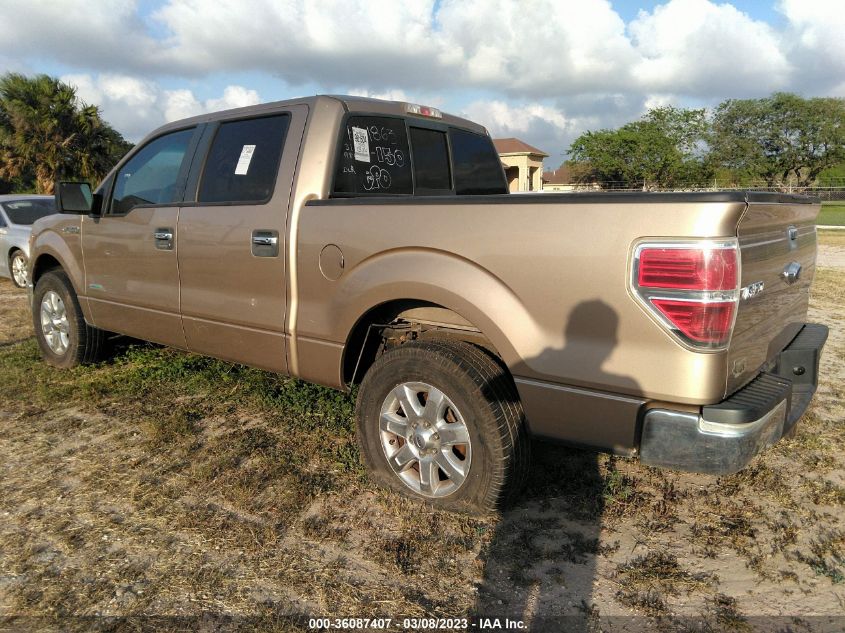 2013 FORD F-150 XL/XLT/FX2/LARIAT - 1FTFW1CT0DKE69863