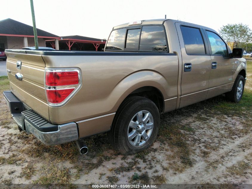 2013 FORD F-150 XL/XLT/FX2/LARIAT - 1FTFW1CT0DKE69863