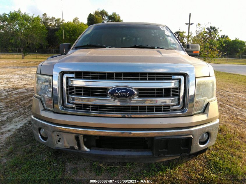 2013 FORD F-150 XL/XLT/FX2/LARIAT - 1FTFW1CT0DKE69863