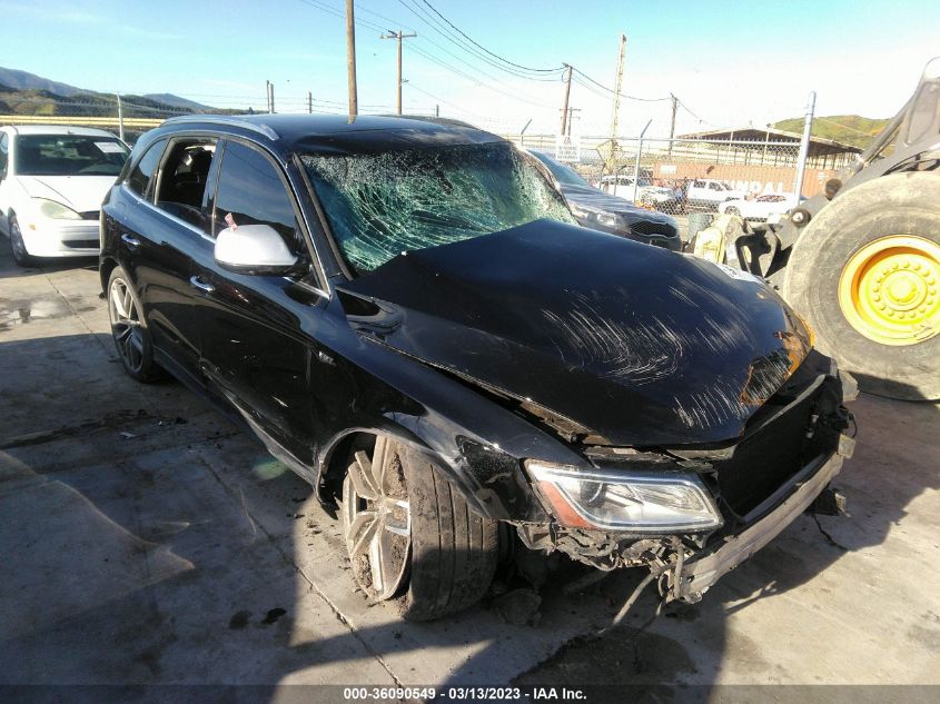 2016 AUDI SQ5 PREMIUM PLUS - WA1CCAFP8GA113823