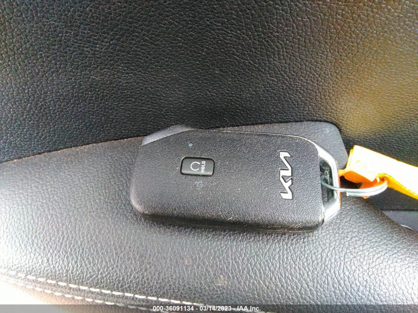 2022 KIA NIRO EV EX KNDCC3LG1N5135819
