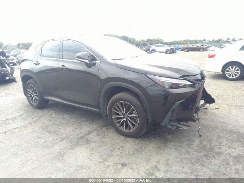 JTJADCAZ1N5001155 LEXUS NX NX 250 2022