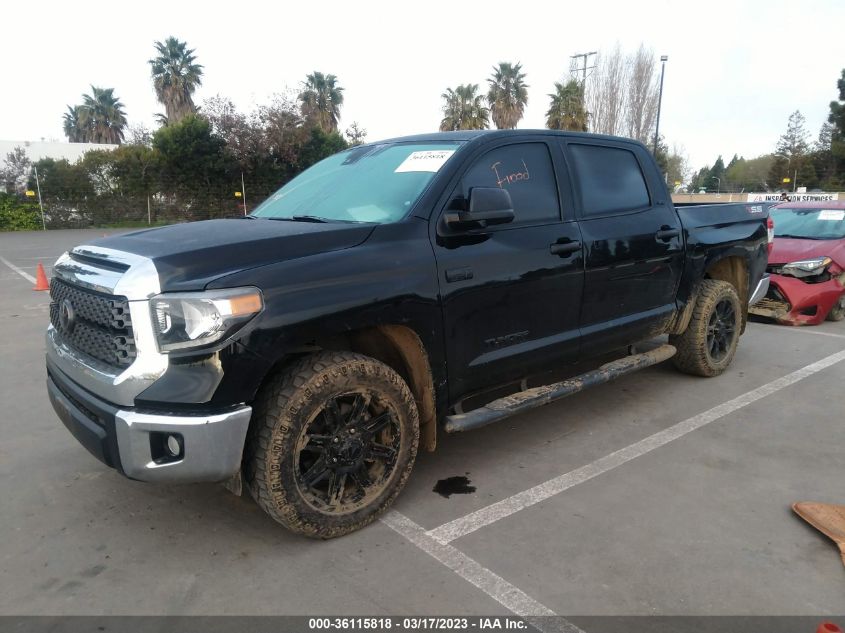 2019 TOYOTA TUNDRA 2WD SR5/LIMITED/PLATINUM 5TFEY5F12KX254850