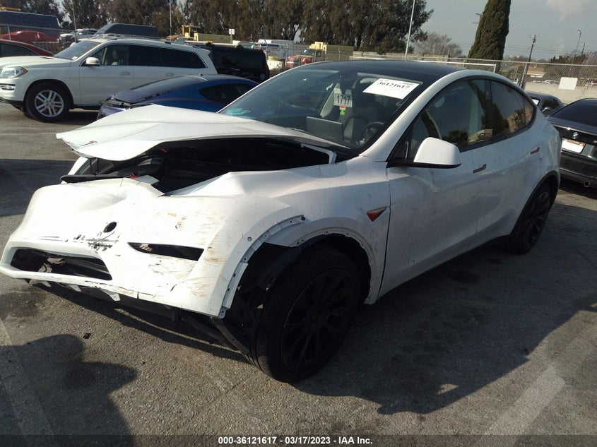VIN 5YJYGDEE3LF019206 2020 TESLA MODEL Y LONG RANGE