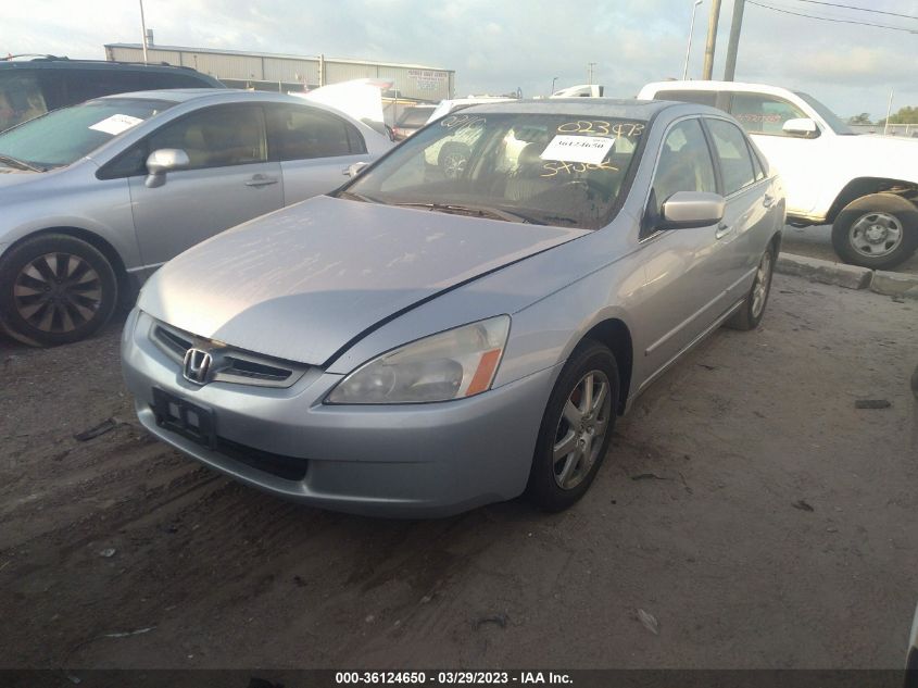 1HGCM66585A023973 | 2005 HONDA ACCORD