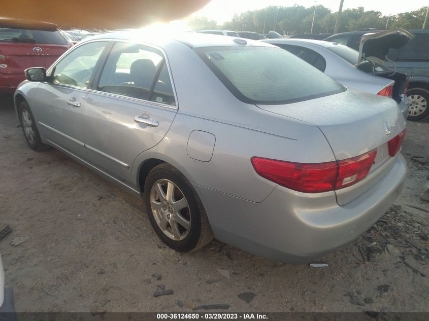 1HGCM66585A023973 | 2005 HONDA ACCORD