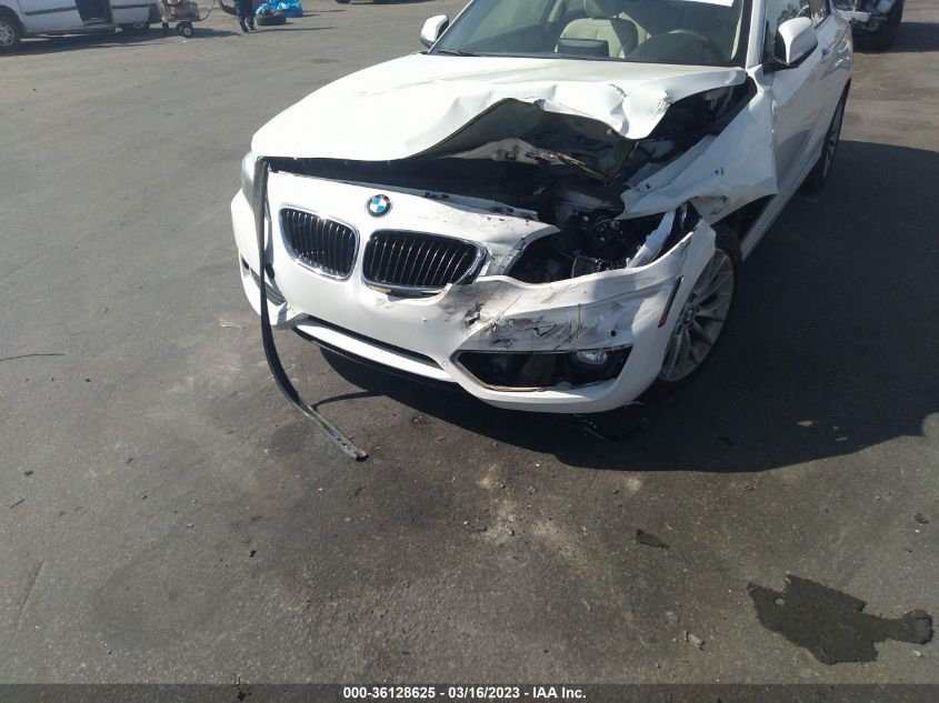 2015 BMW 2 SERIES 228I - WBA1F5C51FV257085