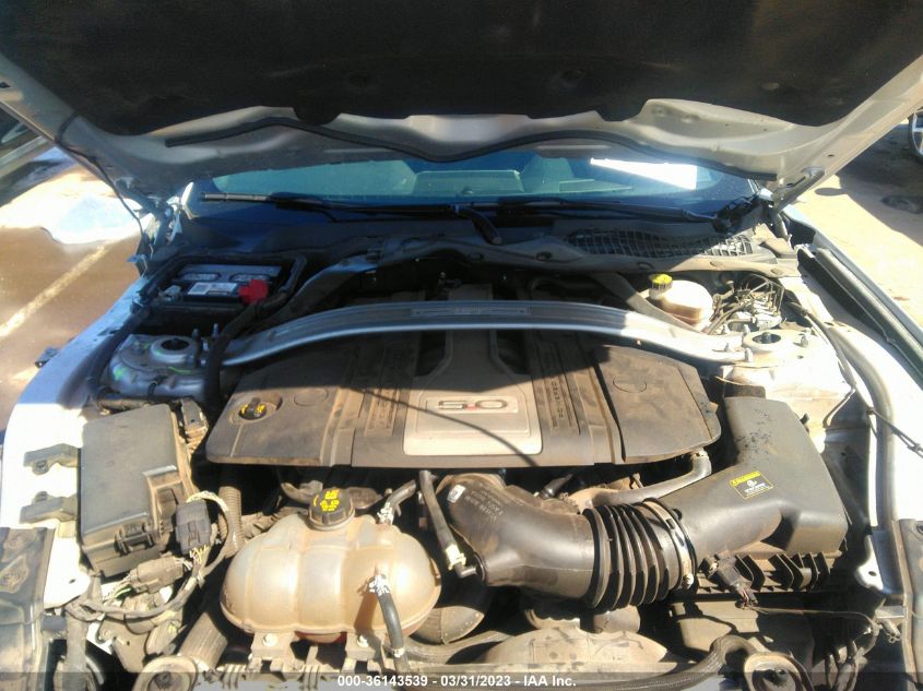 2019 FORD MUSTANG GT - 1FA6P8CFXK5169409