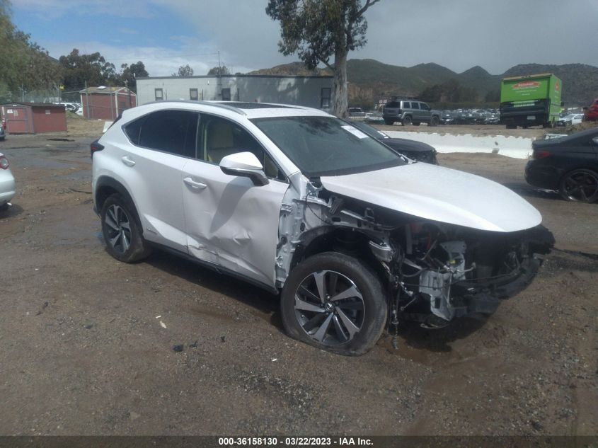 2021 LEXUS NX NX 300H - JTJGJRDZ6M5013009