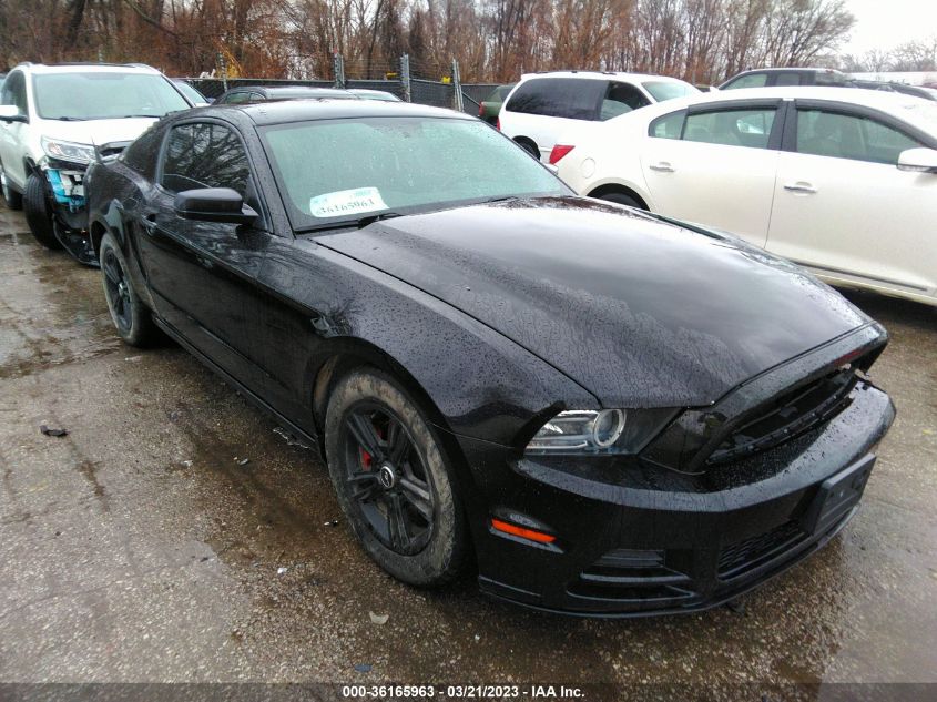 2014 FORD MUSTANG V6 - 1ZVBP8AM6E5282933