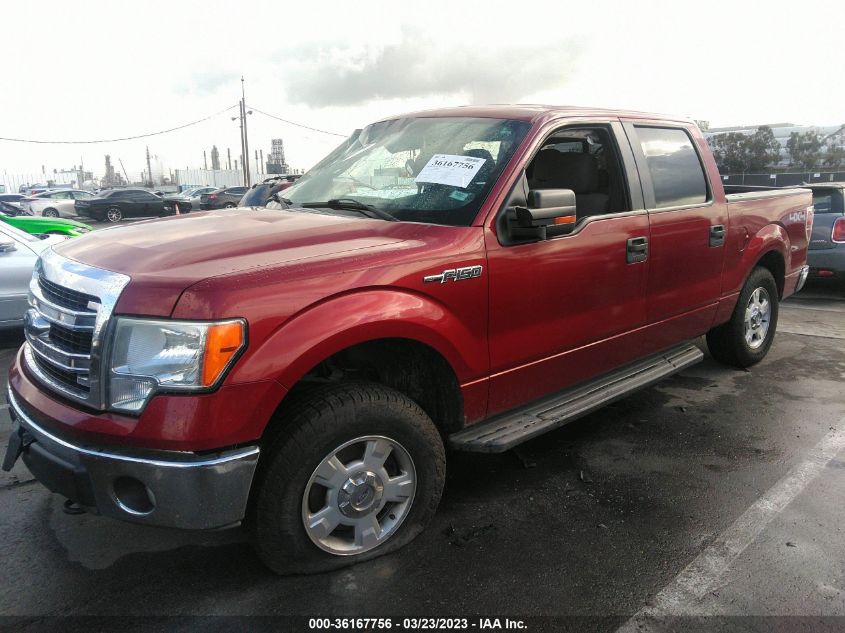 2013 FORD F-150 XL/XLT/FX4/LARIAT - 1FTFW1EF6DKE12946