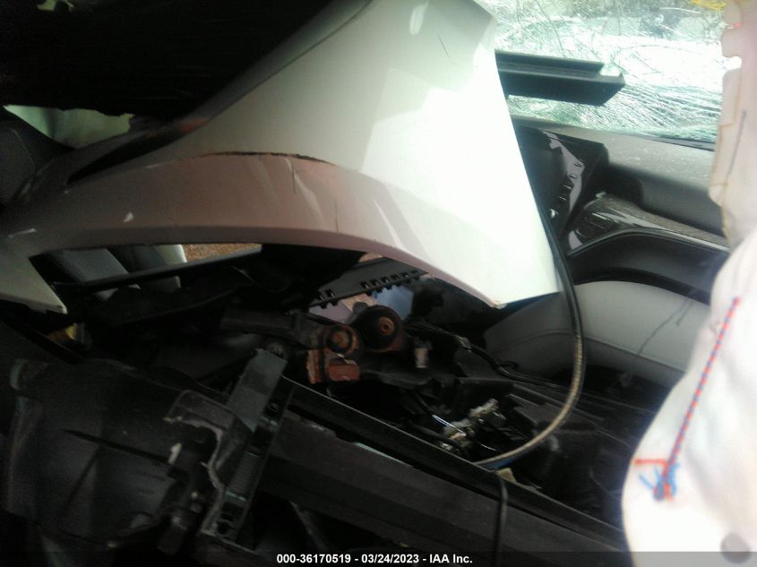 2021 TOYOTA CAMRY HYBRID LE - 4T1C31AK9MU551581