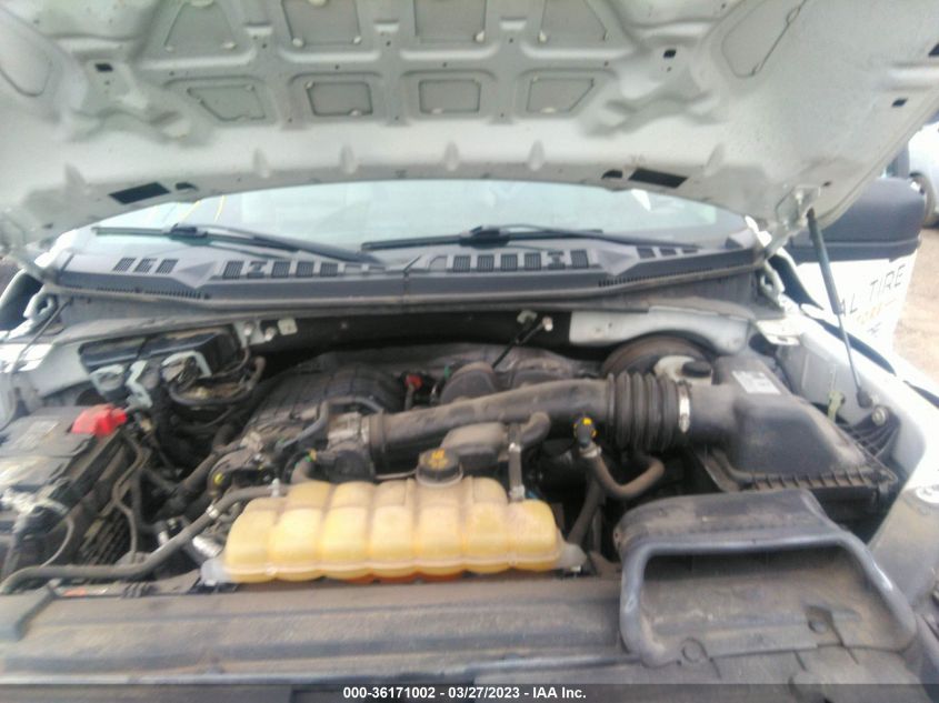 2019 FORD F-150 XL/XLT - 1FTMF1CB1KKD06831