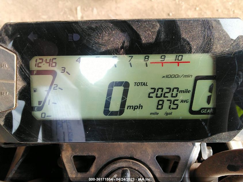 2023 HONDA GROM 125 - MLHJC921XP5100431