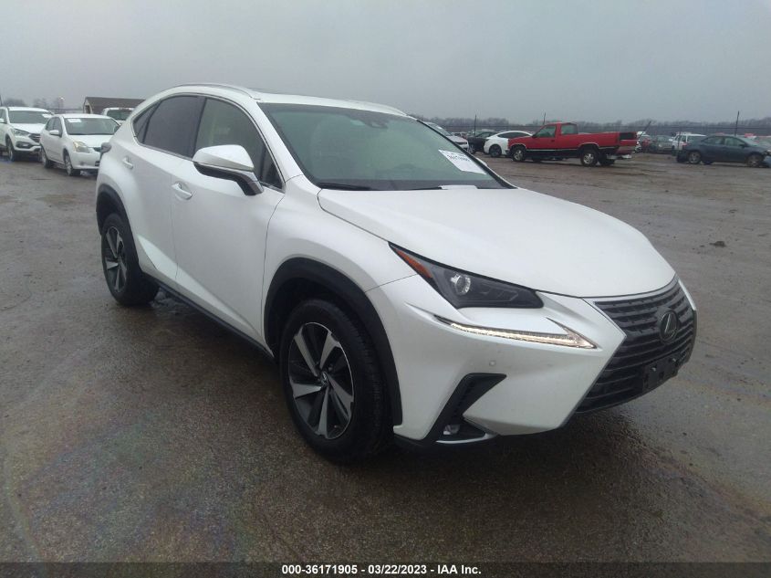 2019 LEXUS NX NX 300 - JTJYARBZ1K2153507