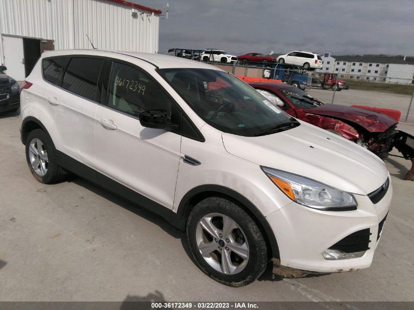 2014 FORD ESCAPE SE - 1FMCU0GX1EUC82293