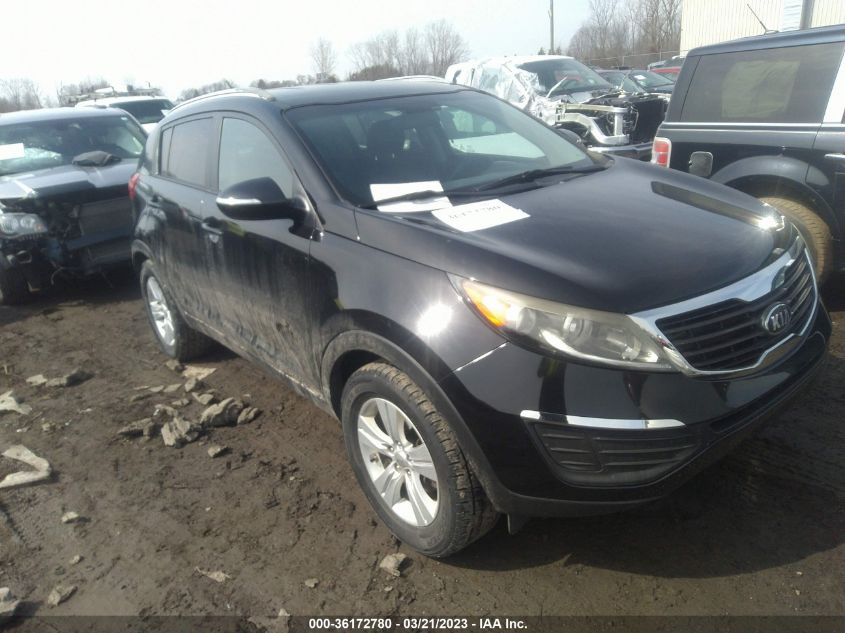 2013 KIA SPORTAGE LX - KNDPB3A2XD7459463