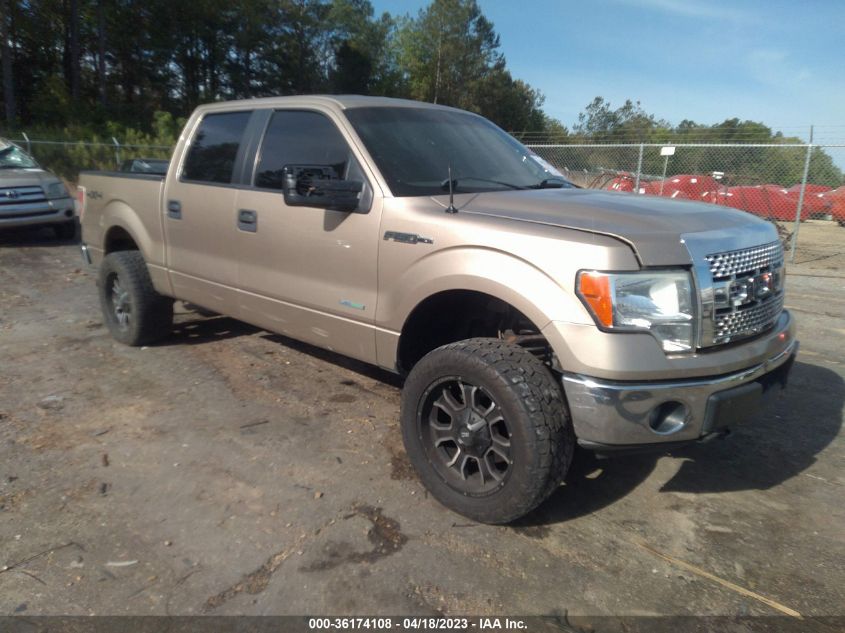 2014 FORD F-150 XL/XLT/FX4/LARIAT - 1FTFW1ET8EKF30651