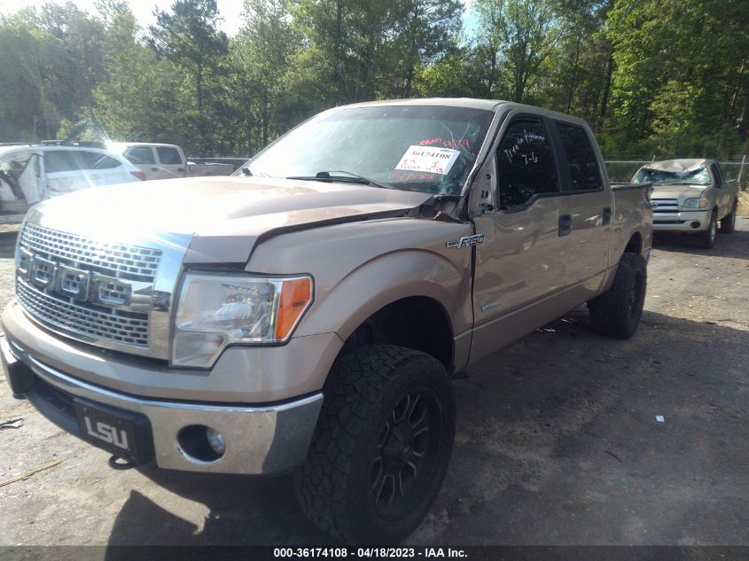 2014 FORD F-150 XL/XLT/FX4/LARIAT - 1FTFW1ET8EKF30651