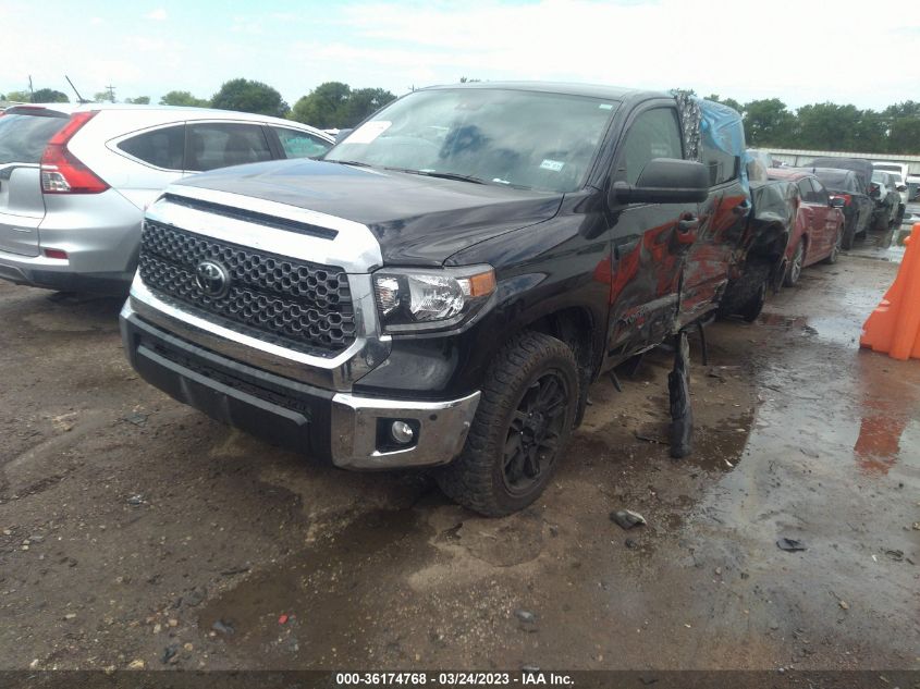 2021 TOYOTA TUNDRA 2WD SR5 - 5TFEY5F1XMX285881