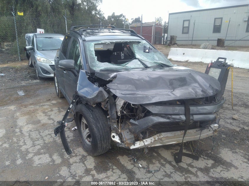VIN JTMW1RFV0KD005984 2019 TOYOTA RAV4 XLE