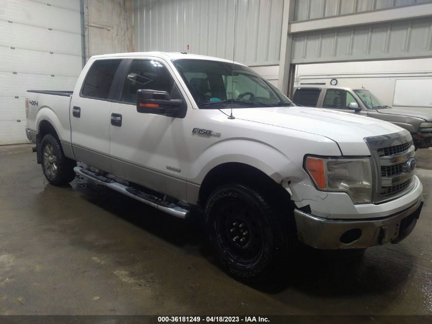 2014 FORD F-150 XL/XLT/FX4/LARIAT - 1FTFW1ET1EFC35254