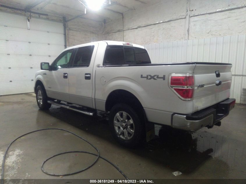 2014 FORD F-150 XL/XLT/FX4/LARIAT - 1FTFW1ET1EFC35254