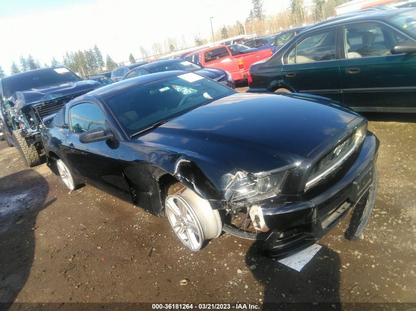 2013 FORD MUSTANG V6 - 1ZVBP8AM6D5221712