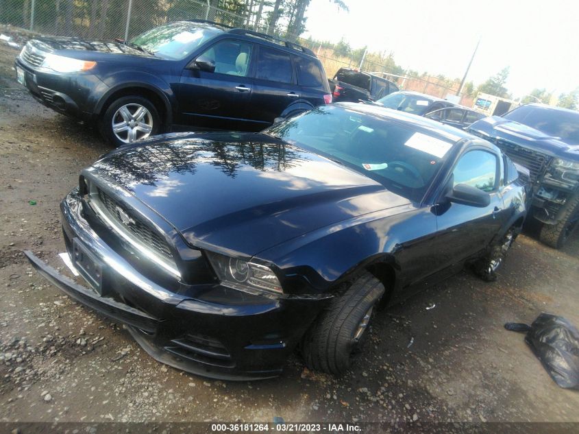 2013 FORD MUSTANG V6 - 1ZVBP8AM6D5221712