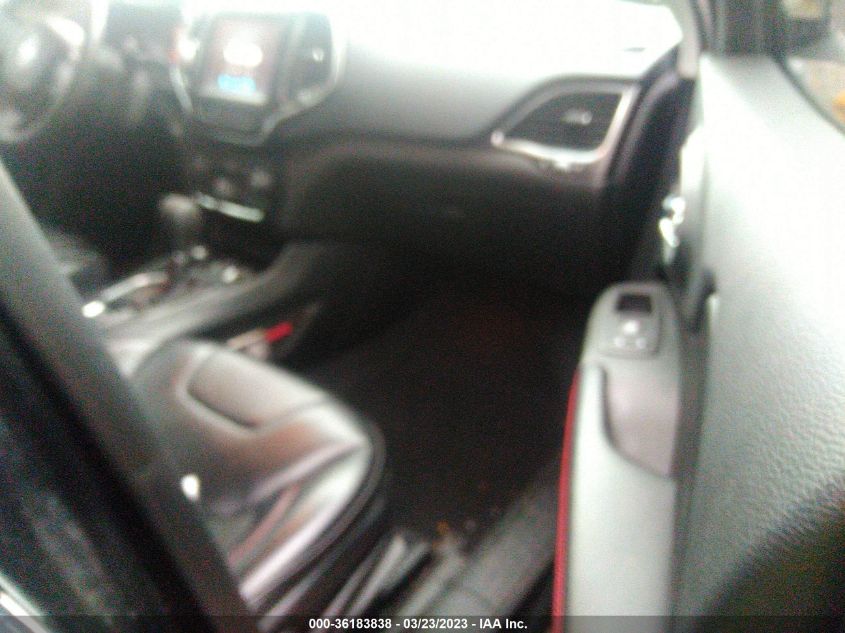 2019 JEEP CHEROKEE TRAILHAWK - 1C4PJMBXXKD334643
