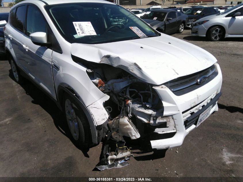 2014 FORD ESCAPE SE - 1FMCU0GX9EUC85894