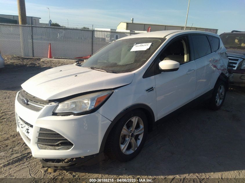 2014 FORD ESCAPE SE - 1FMCU0GX0EUC09268